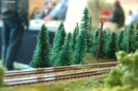 Wald