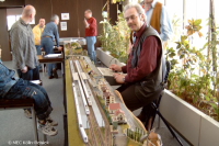 Winsen 2