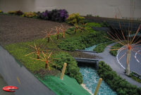 Baum und Busch