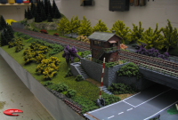 Buschwuchs